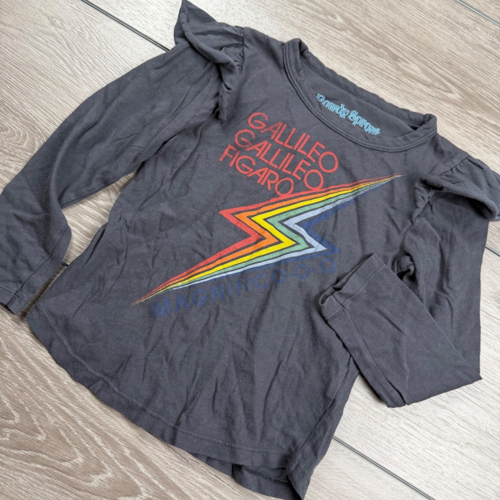 Rowdy Sprout Girls Long Sleeve Graphic Tee Ruffle Queen Rhapsody Charcoal 4T